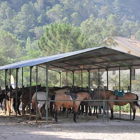Alojamientos Rural Tejerina Arroyo Frío Exterior foto