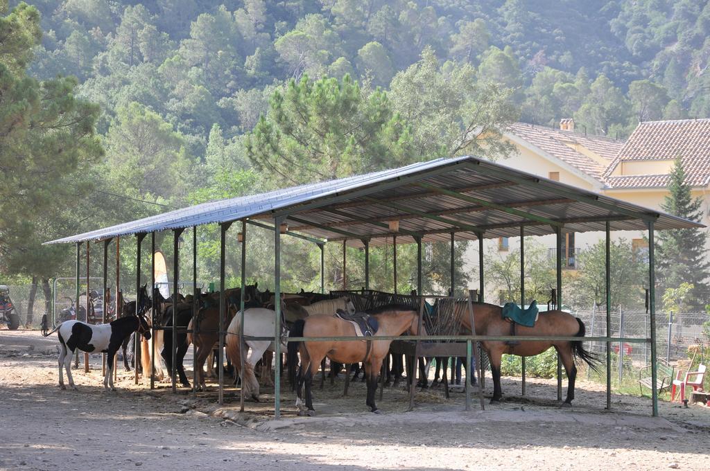 Alojamientos Rural Tejerina Arroyo Frío Exterior foto
